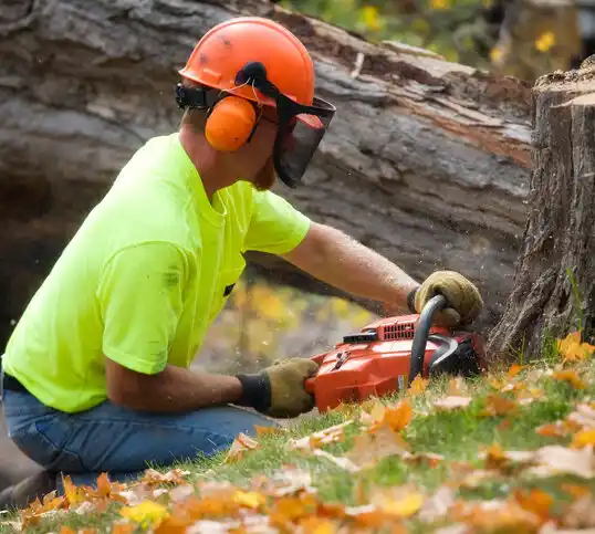 tree services Parker School